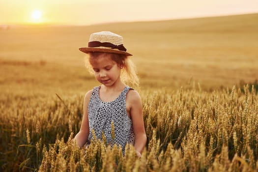 Little girl standing on the agricultural field at evening time. Conception of summer free time.