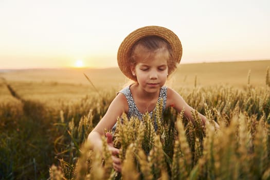 Little girl standing on the agricultural field at evening time. Conception of summer free time.