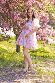 Beautiful happy brunette pregnant young woman, in light pink dress, is standing near a pink blooming apple trees, in the spring in the garden. Looks to the side. Vertical. Copy space