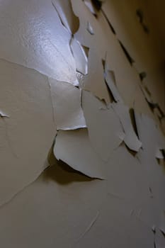 Old lacquer paint peeling out of wall in old abandoned hospital