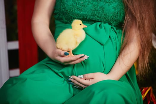 beautiful pregnant woman lies, on the belly of a small yellow duckling duck