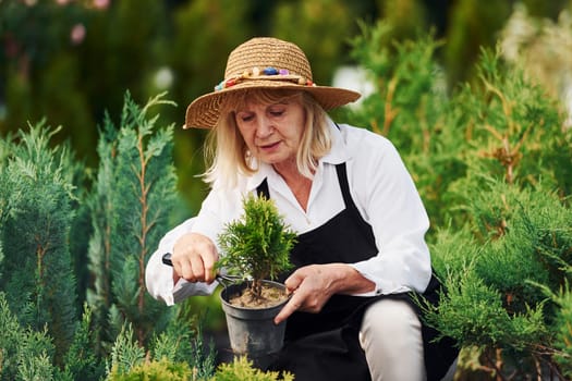 With pot in hands. Senior woman in big hat is in the garden at daytime. Conception of plants and seasons.