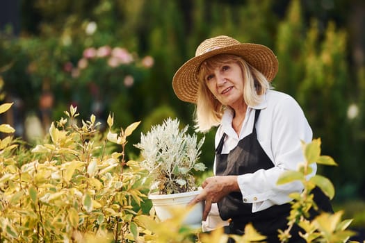 Holding pot in hands. Senior woman is in the garden at daytime. Conception of plants and seasons.