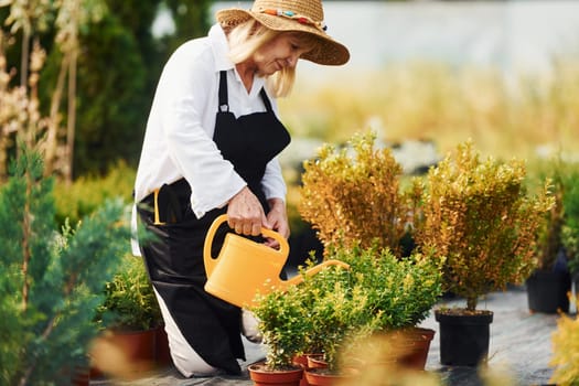 Watering plants. Senior woman is in the garden at daytime.