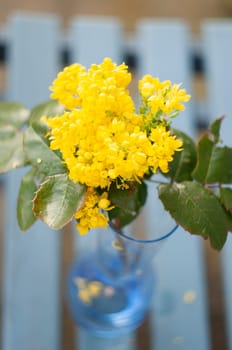 selective focus,bouquet of spring yellow holly flowers in blue vase on the bench, still life minimalism, High quality photo