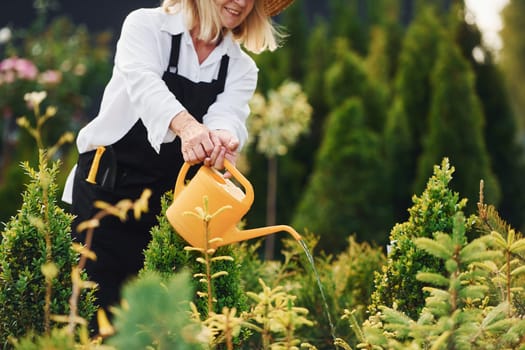 Using yellow colored watering can. Senior woman is in the garden at daytime. Conception of plants and seasons.