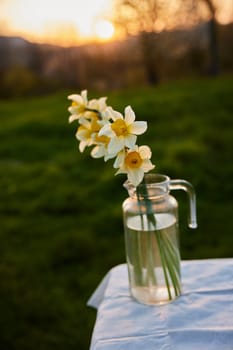 aesthetic photograph of daffodil bouquets standing on a street table. High quality photo