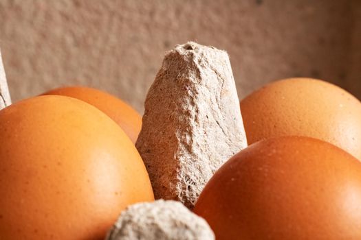 Chicken eggs in a white cardboard box close up