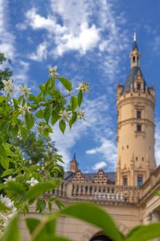 Schwerin, Germany, in the foreground a view of a blossoming tree against a blurred background of Schwerin Castle. Schwerin Castle is the seat of the parliament of the state of Mecklenburg-Vorpommern. 