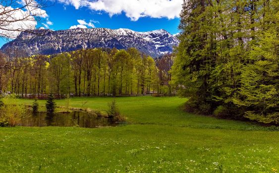 landscape with trees and sky, in the park linderhof, Bavaria, Germany 