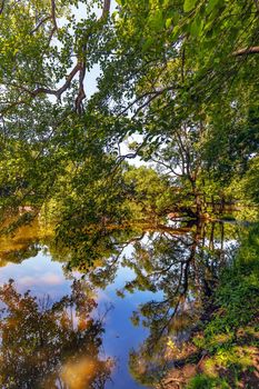 Germany, Bavaria, Weissenstein Palace in Pommersfelden Bamberg, river, tree, reflection of trees in the water in the park of weissenstein castle