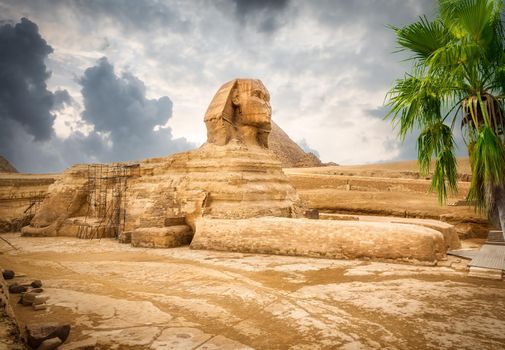 Great Sphinx in egyptian desert at foggy sunrise