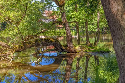 Germany, Bavaria, Weissenstein Palace in Pommersfelden Bamberg, river, tree, reflection of trees in the water in the park of weissenstein castle