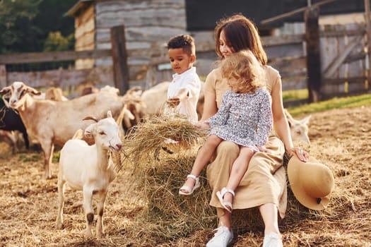 Young mother with her daughter is on the farm at summertime with goats.