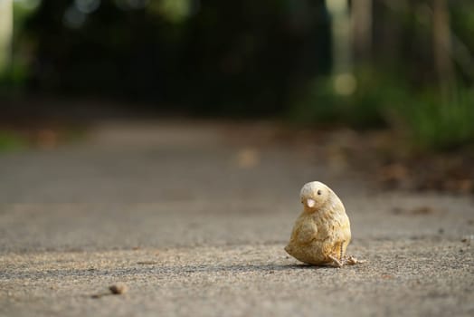 Lonely baby chick bird sitting on the pavement . High quality photo