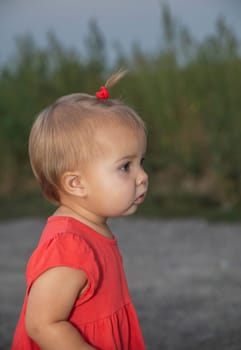 Evening portrait of a beautiful girl with a ponytail on the head.