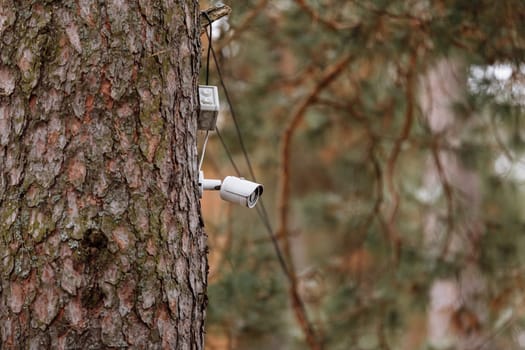 Security camera on the tree trunk, spy camera. close up Multi-angle CCTV camera are installed in the park, concept CCTV camera operating watching city security cover of theft. soft focus