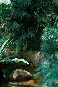 Mysterious impenetrable jungle overgrown with exotic plants.