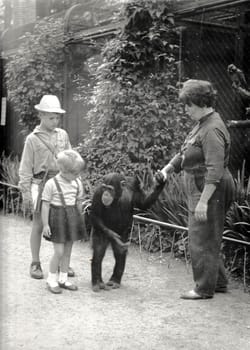 THE CZECHOSLOVAK SOCIALIST REPUBLIC - CIRCA 1960s: Retro photo shows chimpanzee and ZOO keeper with children. Black and white vintage photography