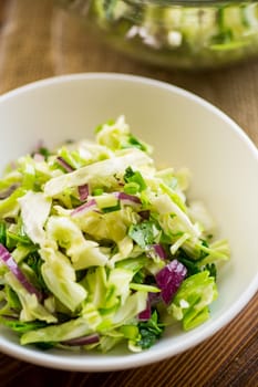 Young cabbage salad with purple onions in a bowl on a wooden table.