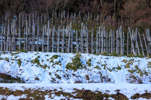 Sharpened wooden stakes form defensive perimeter on snowy hillside. High quality photo