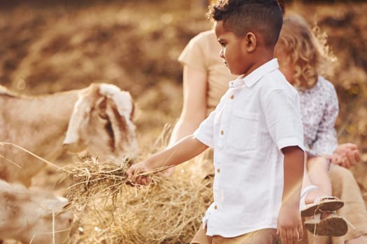 Young mother with her daughter is on the farm at summertime with goats.