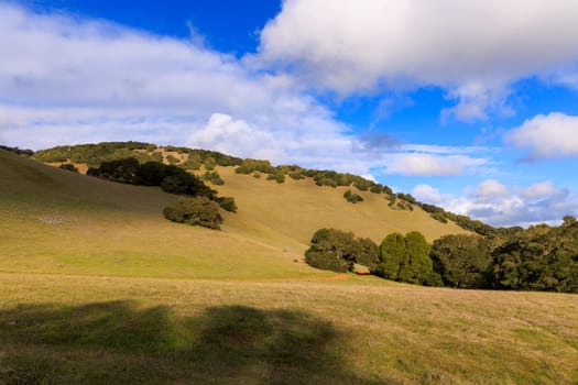 Green grassy hills in Northern California landscape with blue sky and clouds. High quality photo