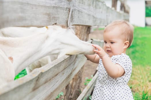 beautiful baby in sundress stroking a goat on the farm.