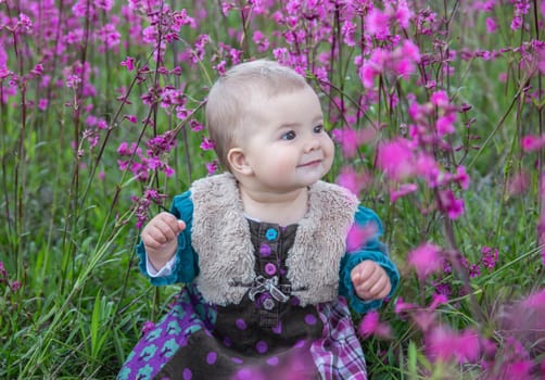 blond baby in a colored dress sits in a field with purple flowers.