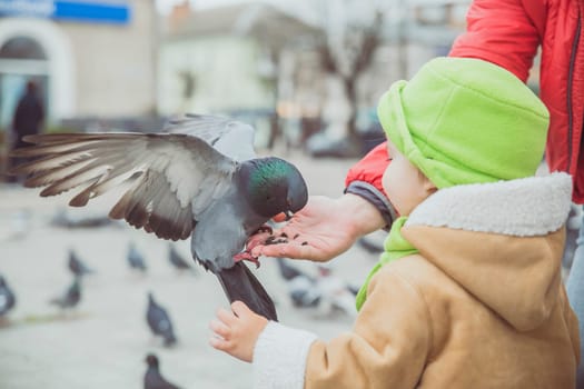 Mom and baby feed pigeons on the street.