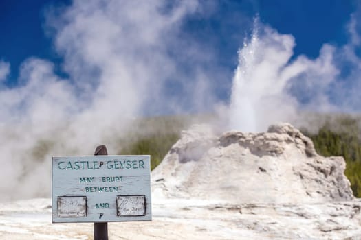 Famous Castle Geyser in Yellowstone National Park in USA 