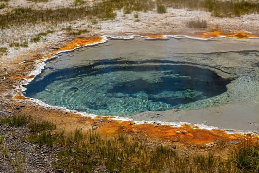  Hot spring in Yellow stone National Park in Wyoming, USA