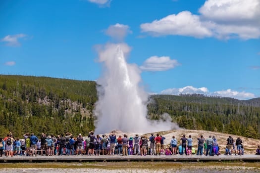 Old Faithful Geyser in Yellowstone National Park, USA with tourlists