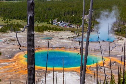 The Grand Prismatic Spring in Yellowstone National Park USA from top view