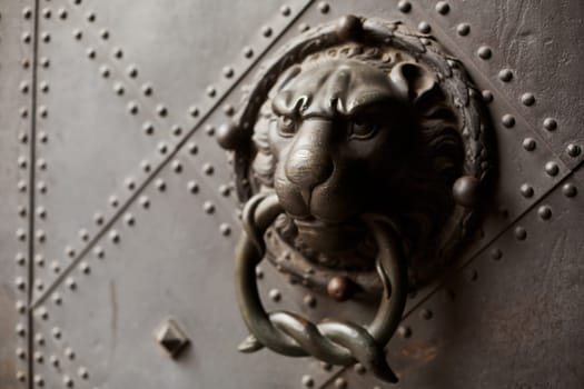 A door knocker in the shape of a lion adorns an old door.