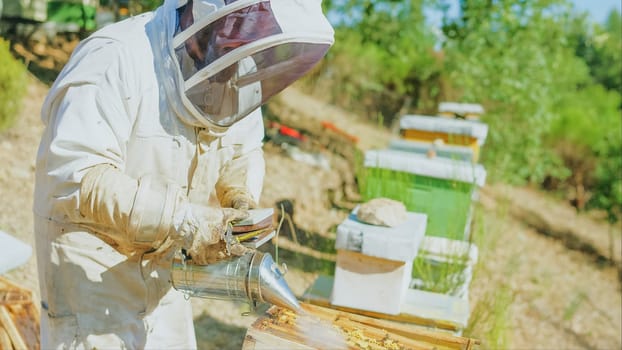 Beekeeper in the apiary smoking the bees with the bee hive smoker to appease the bees
