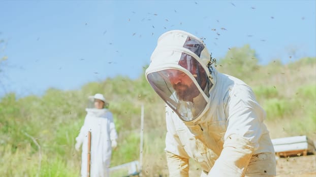 Beekeepers and assistant working in a field during a sunny day