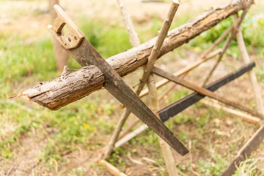 Traditional saw on a small log to cut in a orchard