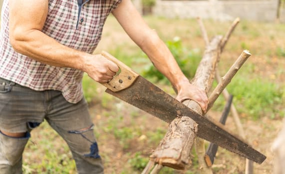 Close up view of the hands of a woodcutter chopping a log using a handsaw in a orchid