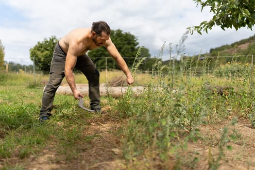 Photo with copy space of a caucasian strong man cutting grass with a sickle