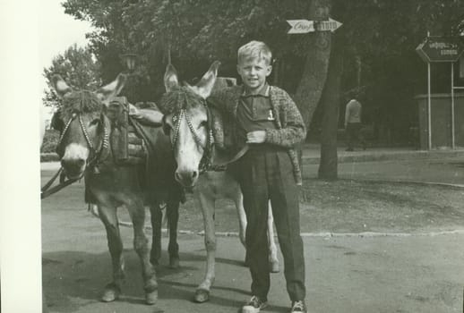 USSR - CIRCA 1970s: Retro photo shows boy with donkeys in the park. Vintage black and white photography.