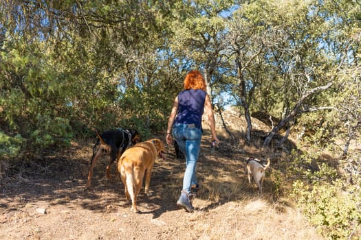 Rear view of an unrecognizable woman walking the dogs in the mountain