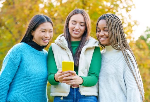 Group of multiethnic friends sharing a mobile in the park