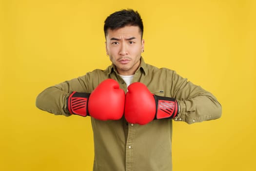 Chinese man with clashing boxing gloves while looking serious on camera in studio with yellow background