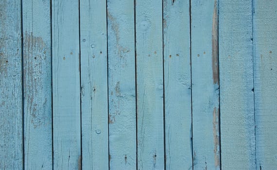 Blue wooden fence Old and dry painted boards. Blue wooden background.