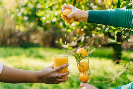 Woman's hand squeezes a fresh juicy organic ripe orange citrus juice into glass in the orangery orchard fruit garden farm