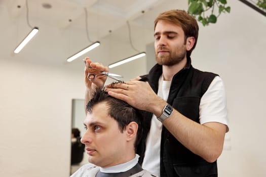 Professional hairdresser does haircut for caucasian client man using comb and scissors at barber shop.