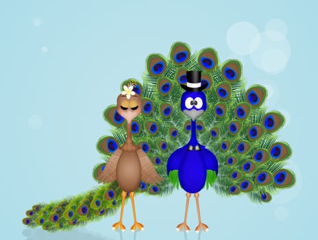 illustration of funny peacocks couple