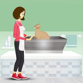 illustration of girl doing grooming to cat