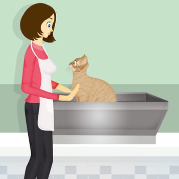 illustration of girl doing grooming to cat
